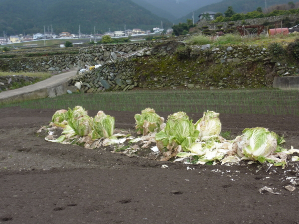 f:id:eeyannka:20110322151157j:image
