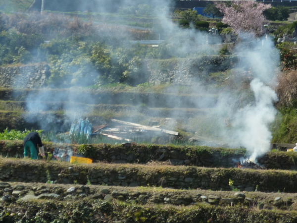 f:id:eeyannka:20110327100702j:image