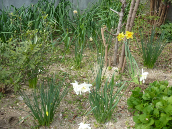 f:id:eeyannka:20110402095138j:image