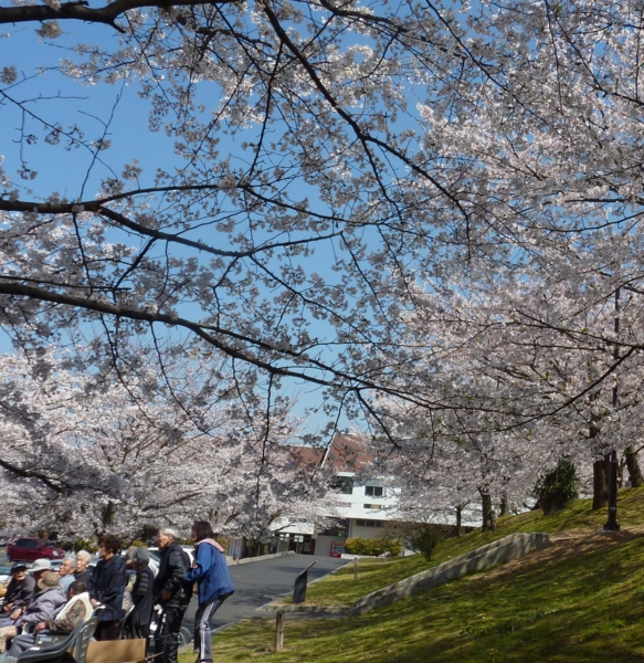 f:id:eeyannka:20110406132721j:image
