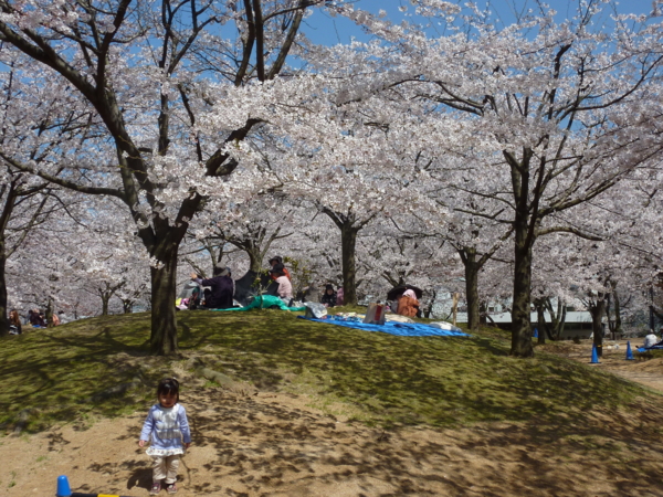 f:id:eeyannka:20110406132813j:image