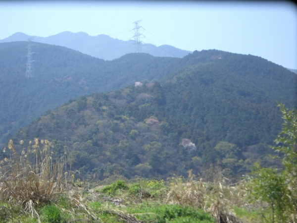 f:id:eeyannka:20110412103958j:image