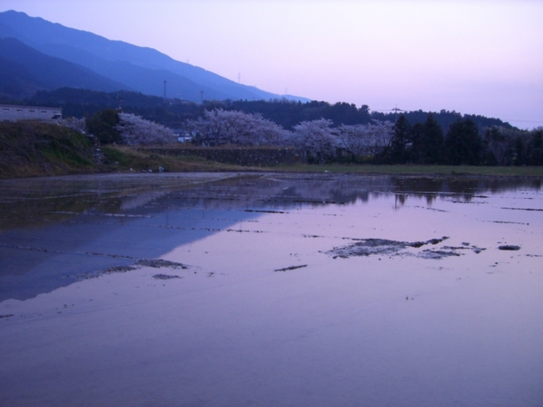 f:id:eeyannka:20110414184313j:image