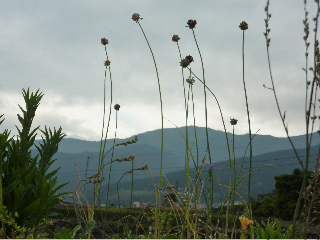 f:id:eeyannka:20110522062852j:image