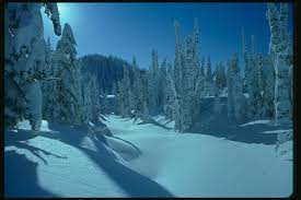 f:id:eeyannka:20111214184451j:image:w360