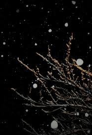 f:id:eeyannka:20111217095738j:image:w360