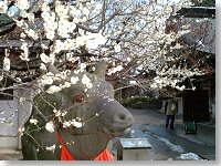 f:id:eeyannka:20120228102512j:image:w360
