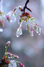 f:id:eeyannka:20120413201845j:image:w360