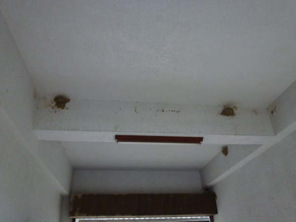 f:id:eeyannka:20120605065428j:image:w360
