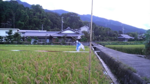 f:id:eeyannka:20120910012801j:image:w360