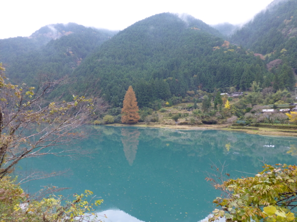 f:id:eeyannka:20121122125458j:image:w360