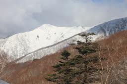 f:id:eeyannka:20130209065812j:image:w360