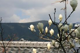 f:id:eeyannka:20130326055746j:image:w360