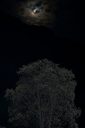 f:id:eeyannka:20130327060543j:image:w360