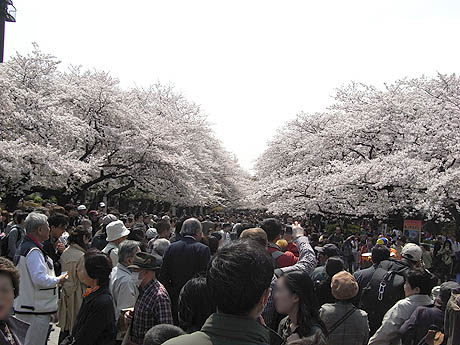 f:id:eeyannka:20130327065951j:image:w360