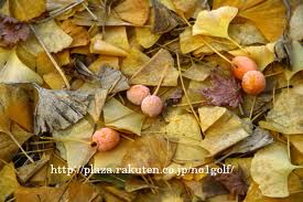 f:id:eeyannka:20131020144744j:image:w360