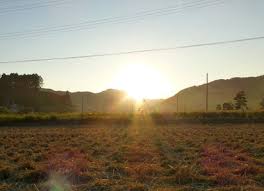 f:id:eeyannka:20131027155353j:image:w360