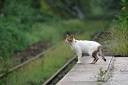 f:id:eeyannka:20140805070532j:image:w360