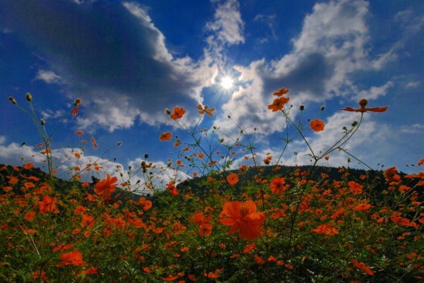 f:id:eeyannka:20141024083117j:image:w360 f:id:eeyannka:20141024083117j:image:w360