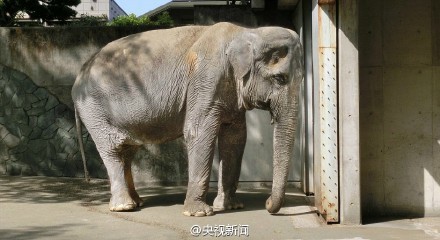 f:id:eeyannka:20160606090156j:image:w360