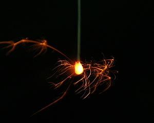 f:id:eeyannka:20170823144847j:image:w360