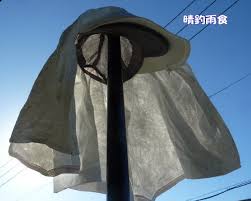 f:id:eeyannka:20180604065726j:image:w360