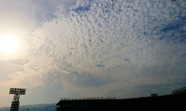 f:id:eeyannka:20180813085052j:image:w360