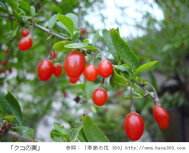 f:id:eeyannka:20181027101358j:image:w360