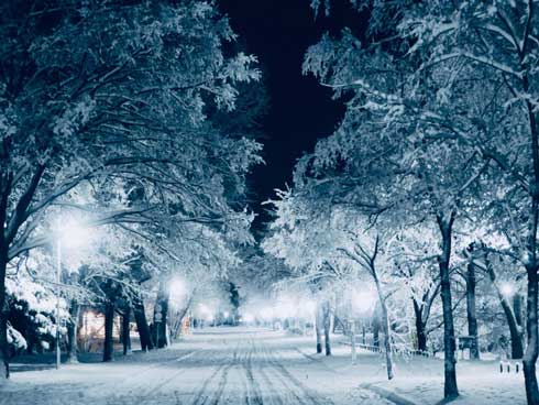f:id:eeyannka:20190117084722j:image:w360