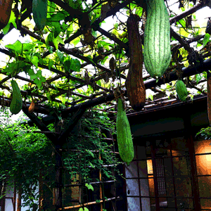 f:id:eeyannka:20210921001120g:plain