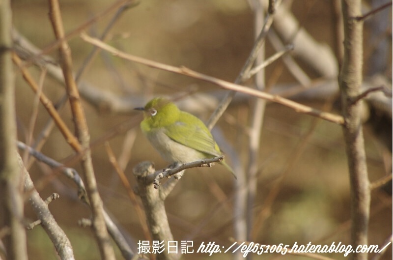 f:id:ef651065:20180119172736j:image