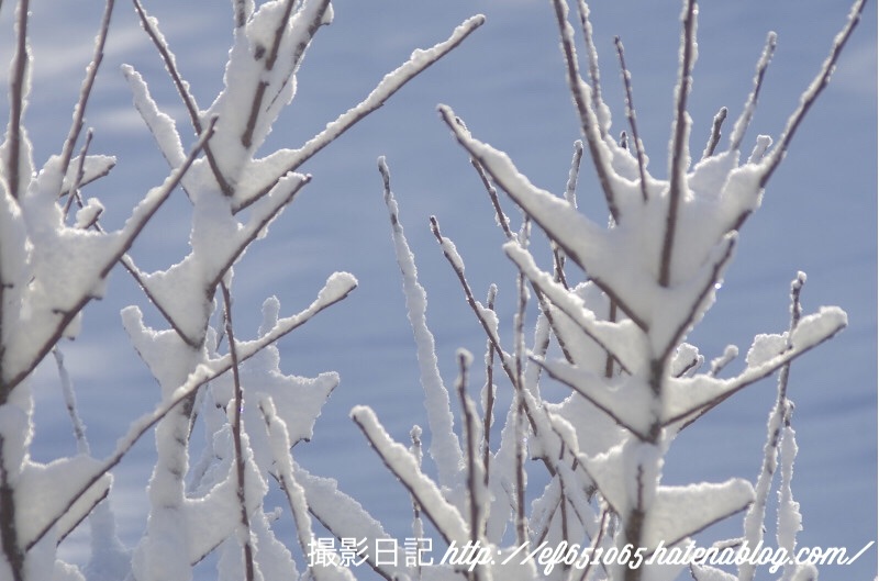 f:id:ef651065:20180125094735j:image