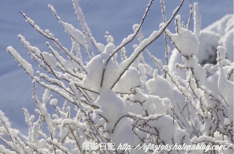 f:id:ef651065:20180125094753j:image