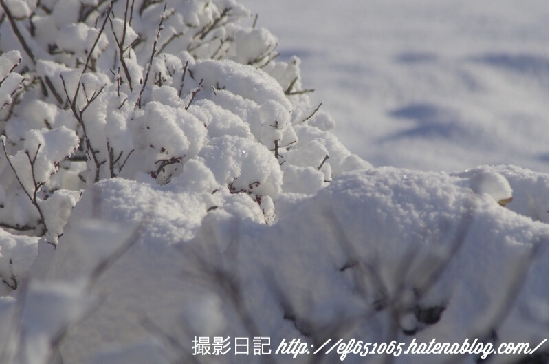 f:id:ef651065:20180125094824j:image