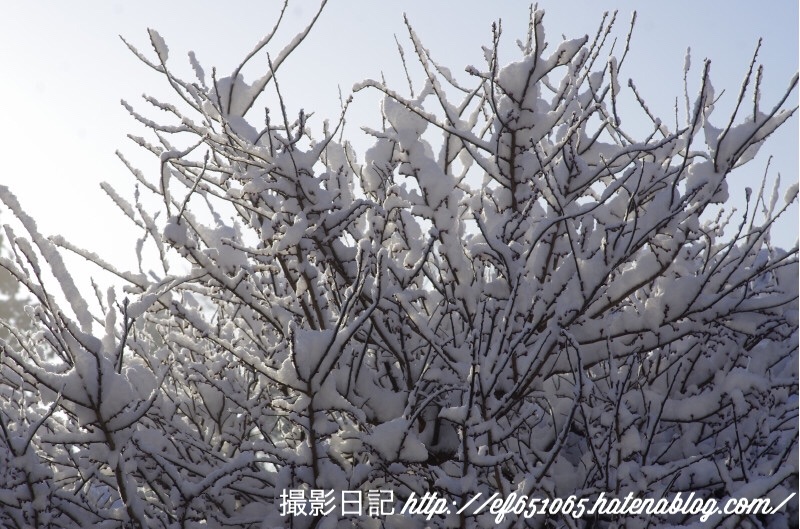 f:id:ef651065:20180125094838j:image