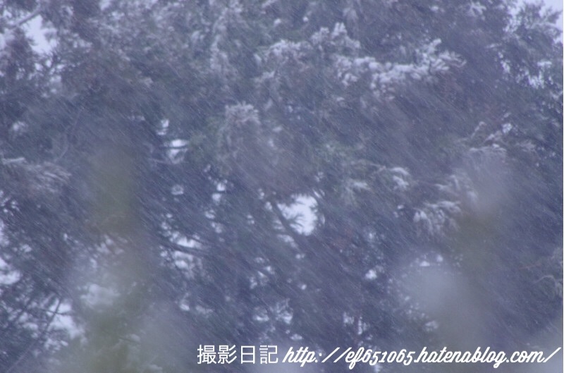 f:id:ef651065:20180202075612j:image