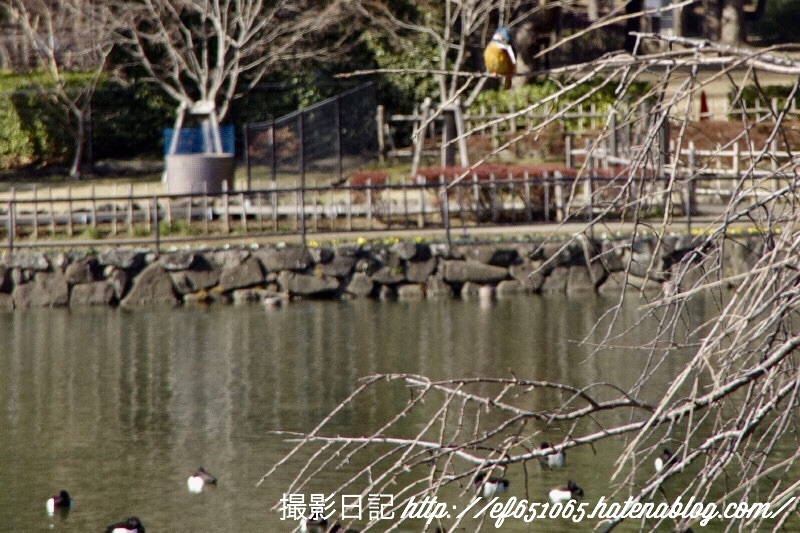 f:id:ef651065:20180206125039j:image