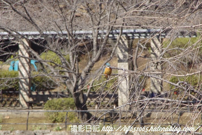 f:id:ef651065:20180206125058j:image
