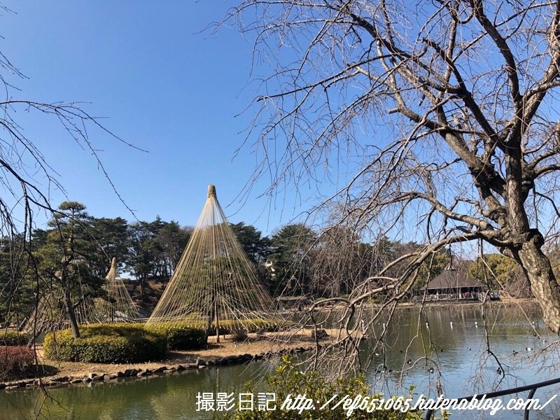 f:id:ef651065:20180223024240j:image