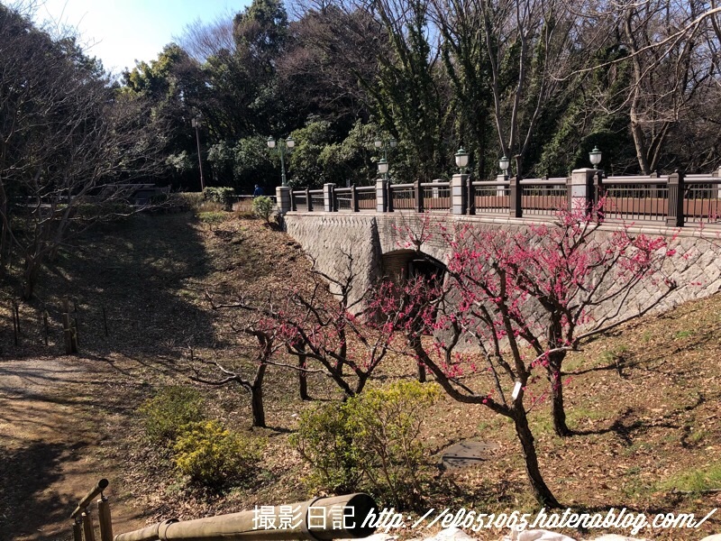 f:id:ef651065:20180223024550j:image