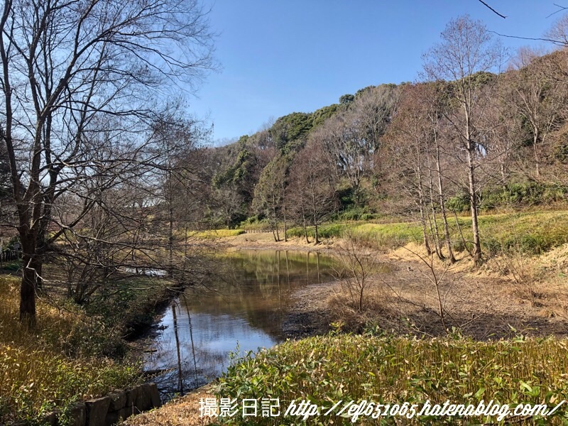f:id:ef651065:20180223024617j:image