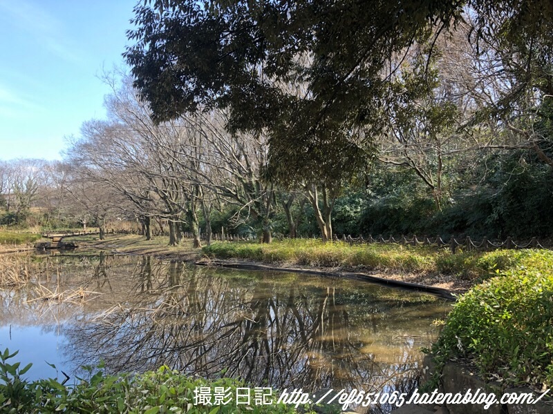 f:id:ef651065:20180223024634j:image