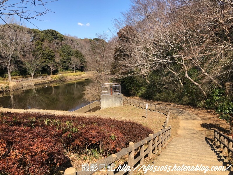 f:id:ef651065:20180223024709j:image