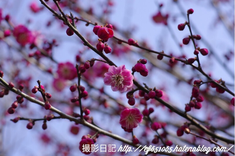 f:id:ef651065:20180226065420j:image