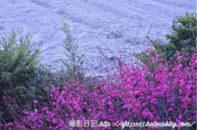 f:id:ef651065:20180228235644j:image