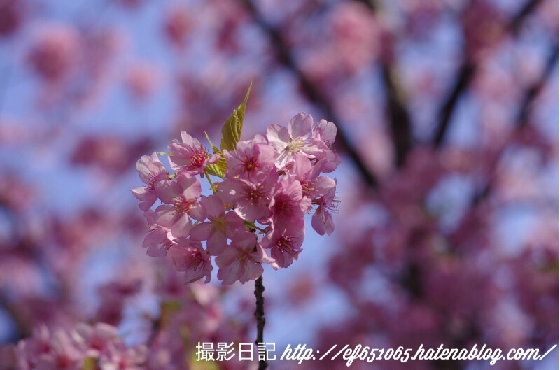f:id:ef651065:20180313204156j:image