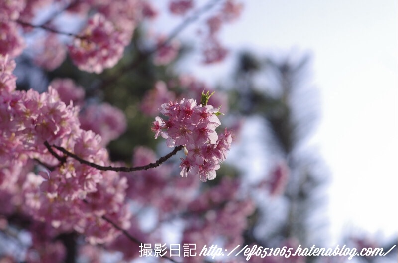 f:id:ef651065:20180313204220j:image