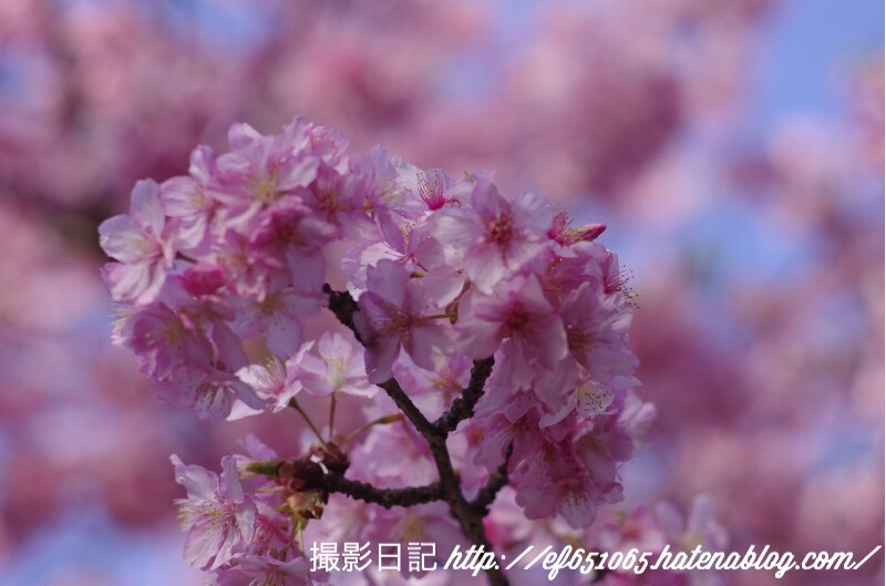 f:id:ef651065:20180313204253j:image