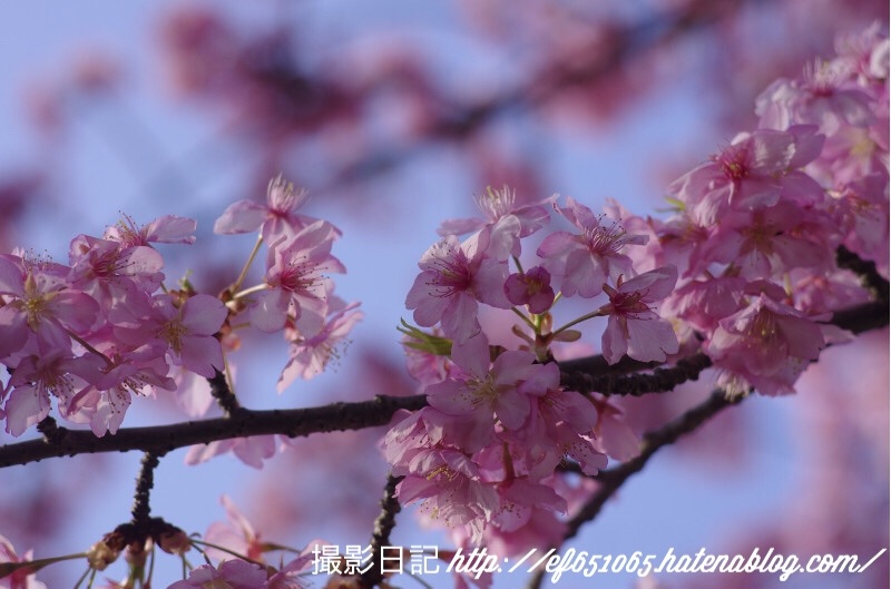 f:id:ef651065:20180313204315j:image