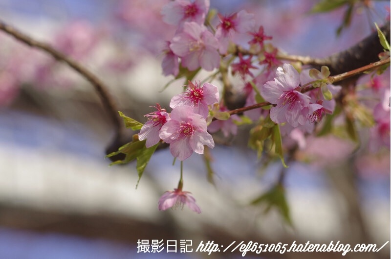 f:id:ef651065:20180313204442j:image